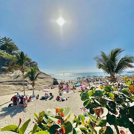 Lejlighed Luxury Fanabe With Private Garden Costa Adeje (Tenerife)